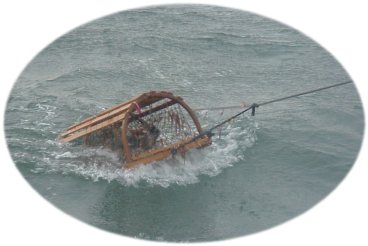 Wooden trap being pulled from the water