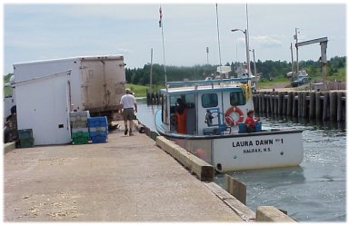 Tying up at the wharf