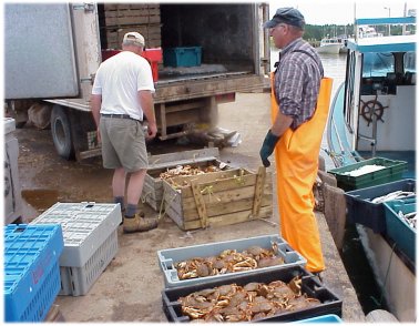 Loading the catch onto the truck