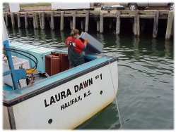 Deckhand rinses out the trays