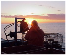 Sun rising as deckhand re-baits trap