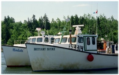 Lobster boats at Logan's Wharf