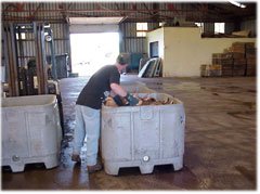 Northumberland Fish Co-op Ltd interior