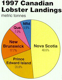1997 Canadian Lobster Landings