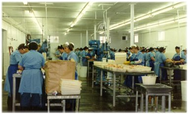 main processing room Lismore