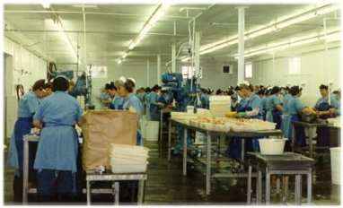 main processing room Lismore