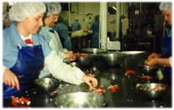 picking meat from the shells Lismore fish plant