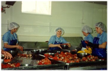 breaking apart the lobster Lismore fish plant