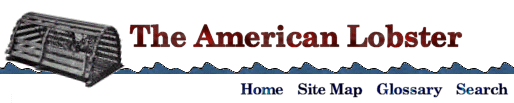 American Lobster banner