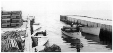 Boats coming in to dock