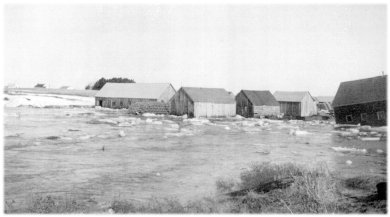 Buildings at Toney River wharf surrounded by flood water