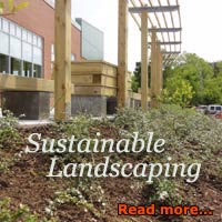 sustainable landscaping